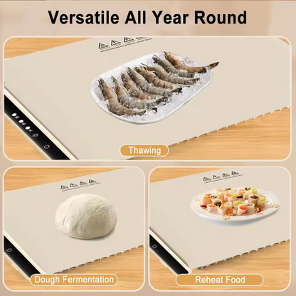 Electric Warming Tray